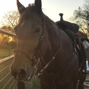 Meet your Posher, Mallory
